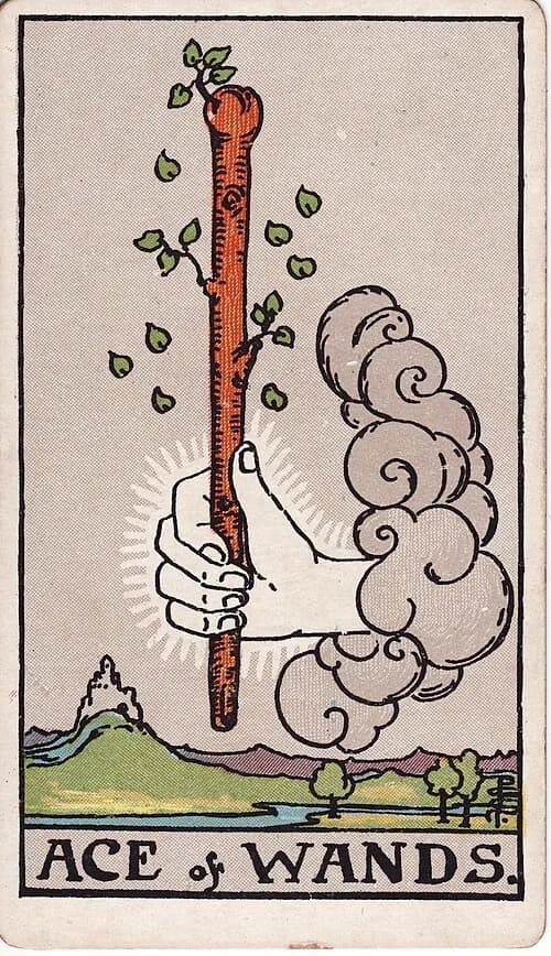 Ace of Wands